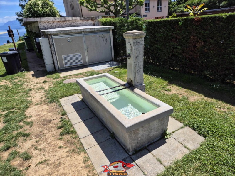 zone de pelouse au-dessus de la plage. Plage de la Falaise, Gland. Léman, canton de Vaud.