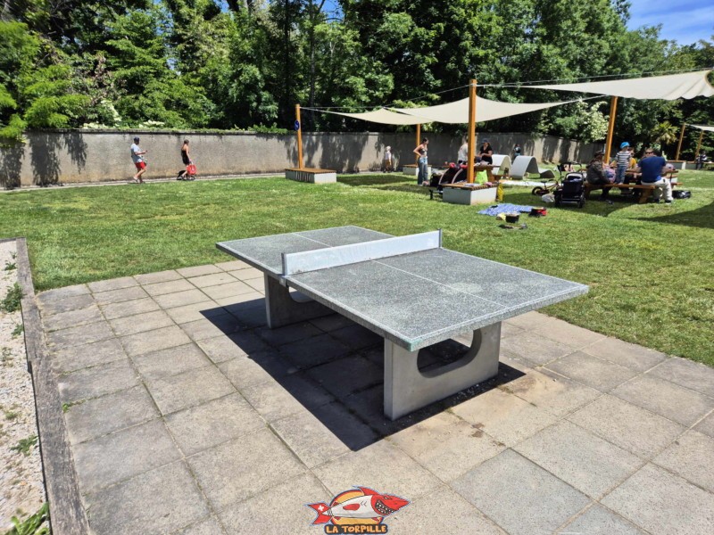 zone de pelouse au-dessus de la plage. Plage de la Falaise, Gland. Léman, canton de Vaud.