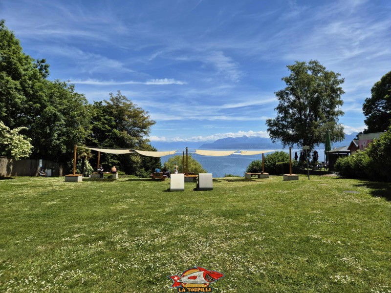 zone de pelouse au-dessus de la plage. Plage de la Falaise, Gland. Léman, canton de Vaud.