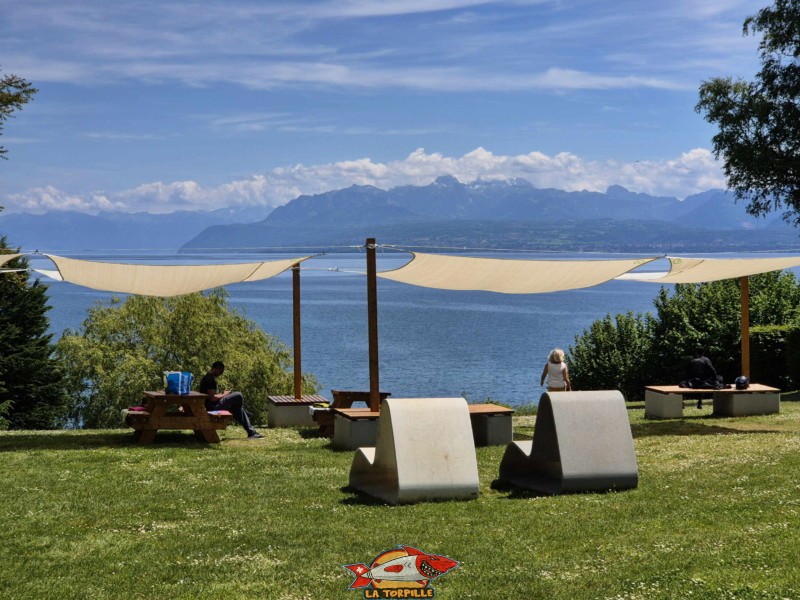 zone de pelouse au-dessus de la plage. Plage de la Falaise, Gland. Léman, canton de Vaud.