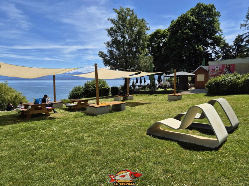zone de pelouse au-dessus de la plage. Plage de la Falaise, Gland. Léman, canton de Vaud.