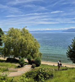 🏖️ Plage de la Falaise – Gland