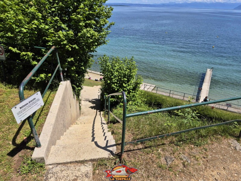 Pente. Plage de la Falaise, Gland. Léman, canton de Vaud.
