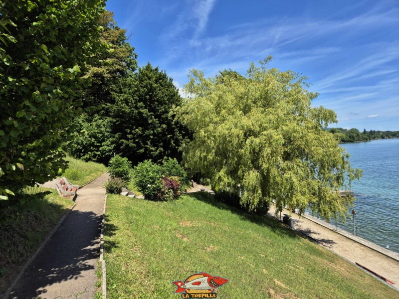Pente. Plage de la Falaise, Gland. Léman, canton de Vaud.