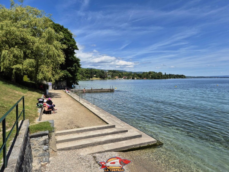 Plage, escaliers. Plage de la Falaise, Gland. Léman, canton de Vaud.