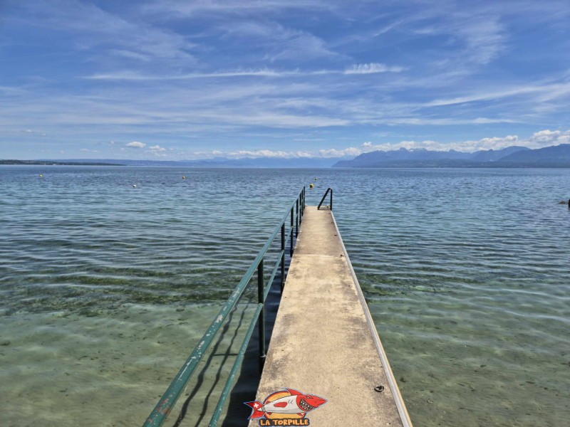 Digue Ouest. Plage de la Falaise, Gland. Léman, canton de Vaud.