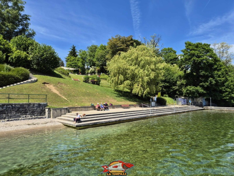Plage, escaliers. Plage de la Falaise, Gland. Léman, canton de Vaud.