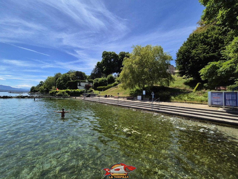 Plage de la Falaise, Gland. Léman, canton de Vaud. Plage de la Falaise, Gland. Léman, canton de Vaud.