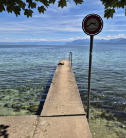 🏖️ Plage de la Falaise – Gland