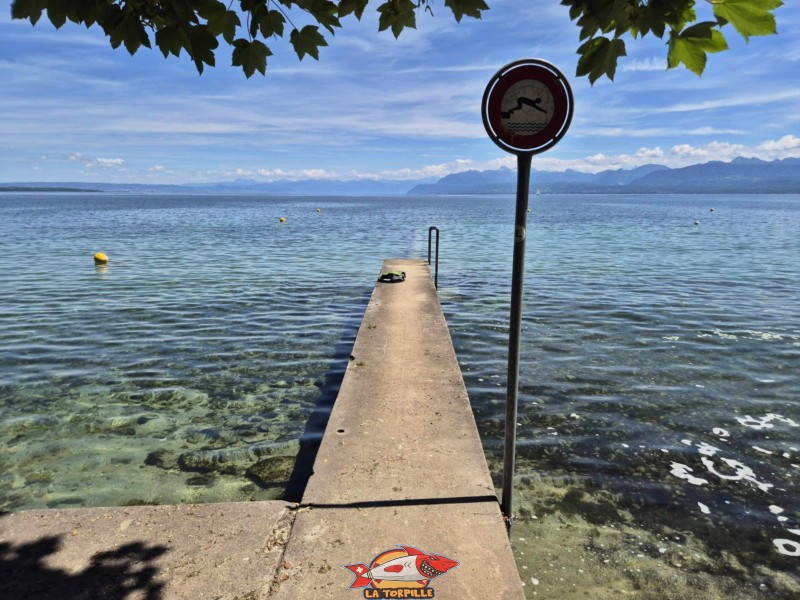 Digue Est. Plage de la Falaise, Gland. Léman, canton de Vaud.