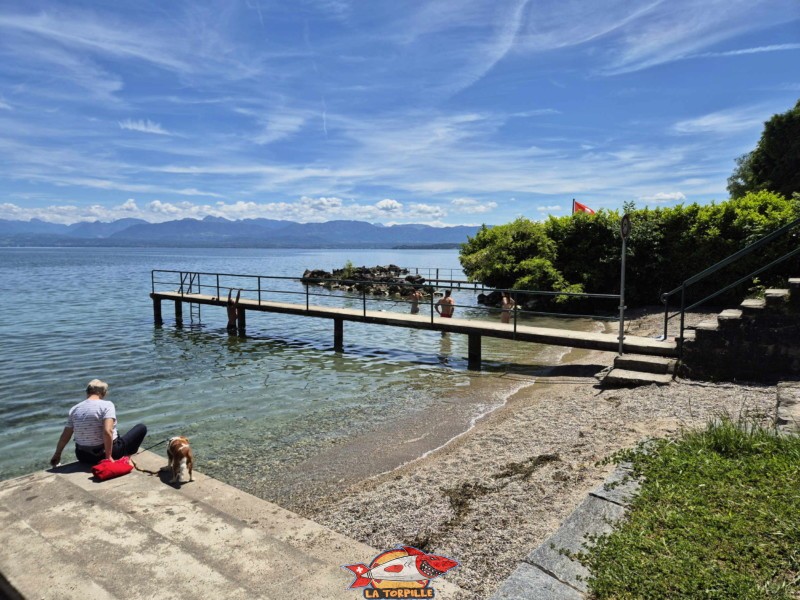 Digue Ouest. Plage de la Falaise, Gland. Léman, canton de Vaud.