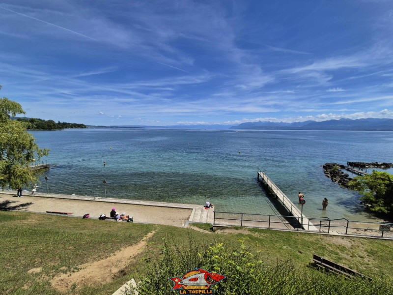 Pente. Plage de la Falaise, Gland. Léman, canton de Vaud.