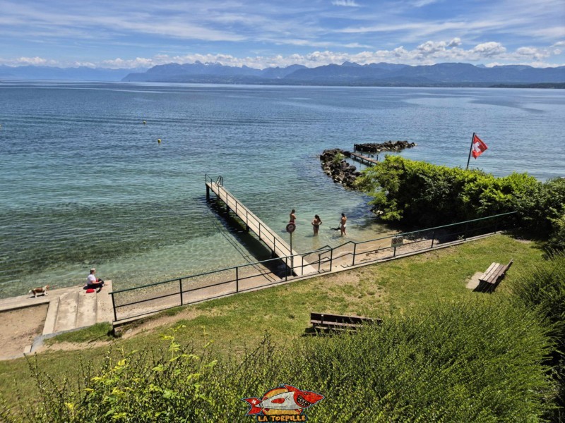 Pente. Plage de la Falaise, Gland. Léman, canton de Vaud.