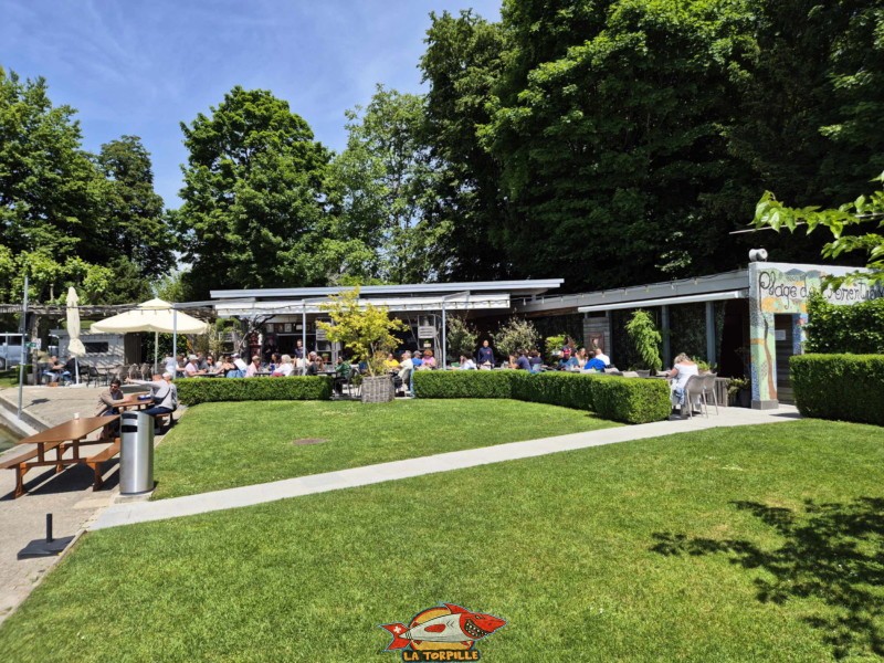 Pelouse, zone Buvette. Plage de Promenthoux, Prangins, Léman.