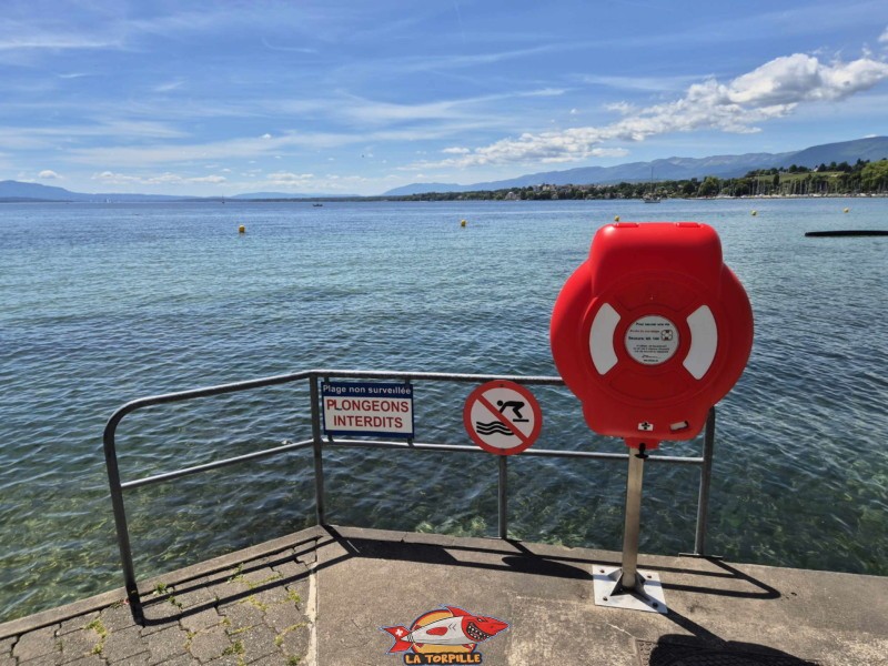 Vue sur le lac. Plage de Promenthoux, Prangins, Léman.