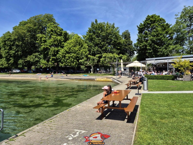 Pelouse, zone Buvette. Plage de Promenthoux, Prangins, Léman.