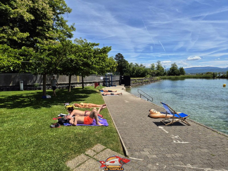Pelouse, zone Buvette. Plage de Promenthoux, Prangins, Léman.