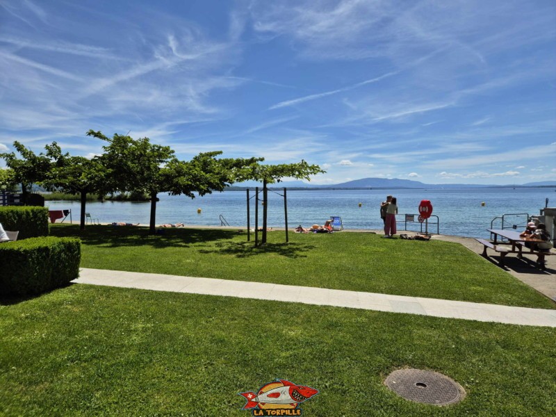 Pelouse, zone Buvette. Plage de Promenthoux, Prangins, Léman.