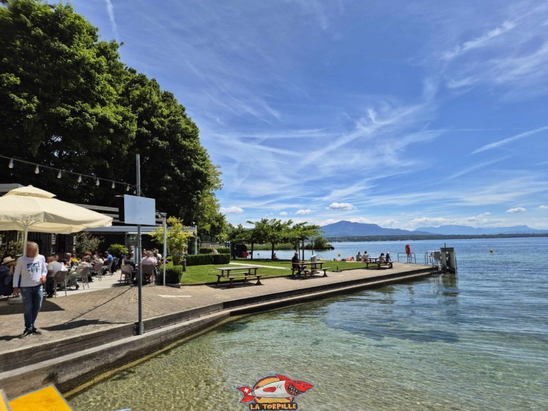 Les escaliers pour accéder au lac. Plage de Promenthoux, Prangins, Léman.