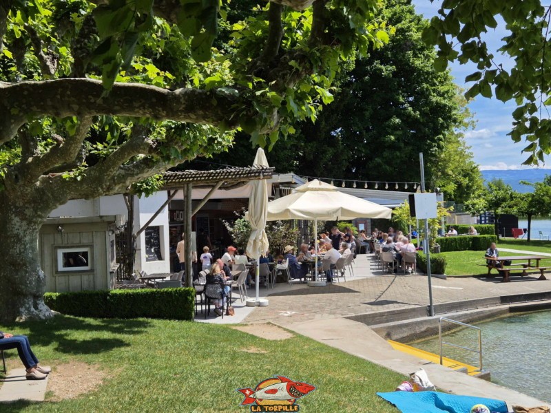 Une buvette se trouve à l'entrée de la plage. Plage de Promenthoux, Prangins, Léman.