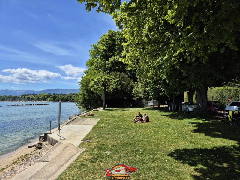 Pelouse, zone route. Plage de Promenthoux, Prangins, Léman.