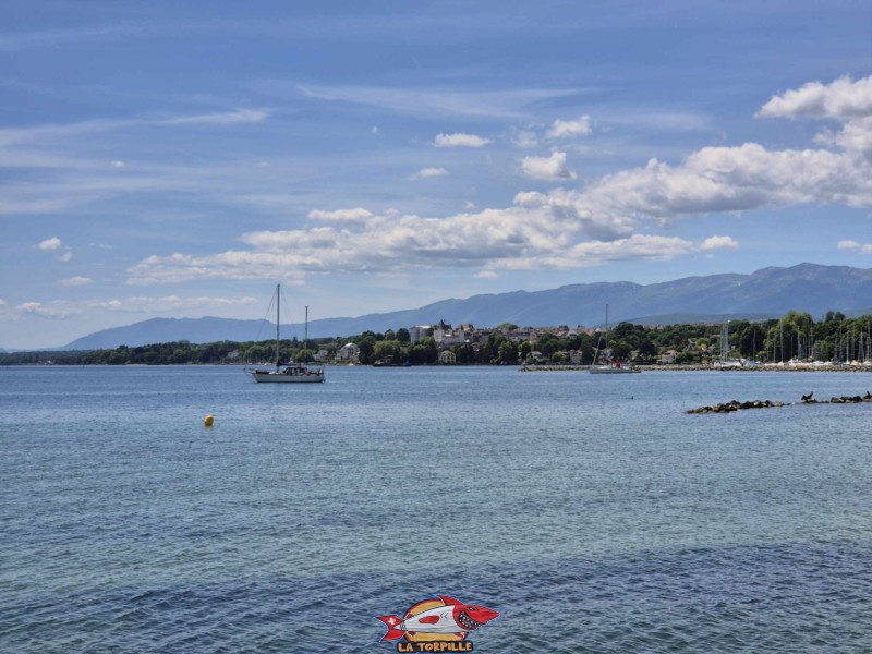 La vue en direction de Nyon avec le Jura en arrière-plan. Plage de Promenthoux, Prangins, Léman.