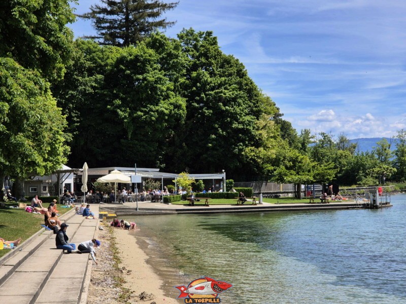 La zone de la plage au sud de la buvette. Plage de Promenthoux, Prangins, Léman.
