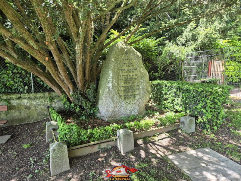 Pelouse, zone route. Une pierre commémorative à l'extrême ouest de la plage. Plage de Promenthoux, Prangins, Léman.