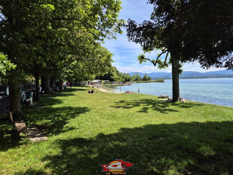 Pelouse, zone route. Plage de Promenthoux, Prangins, Léman.