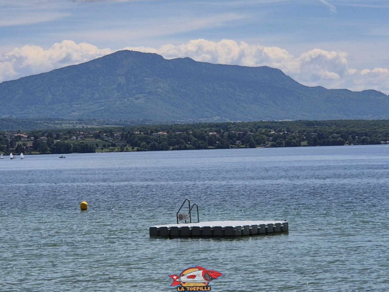 La plateforme au large de la plage. Plage de Promenthoux, Prangins, Léman.