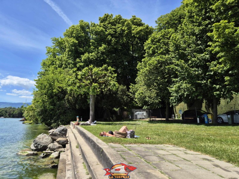 Les enrochements à l'extrémité ouest de la plage. zone route. Plage de Promenthoux, Prangins, Léman.