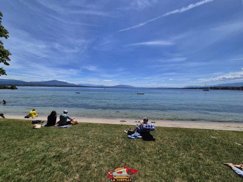 Pelouse, zone route. Plage de Promenthoux, Prangins, Léman.