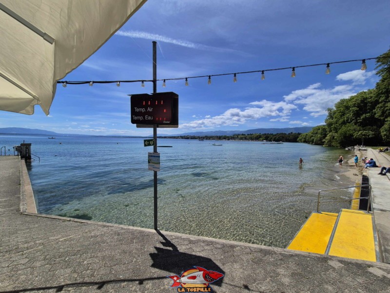  Vue sur le lac. Plage de Promenthoux, Prangins, Léman.