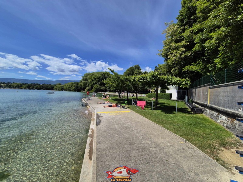 La zone à l'extrémité sud-est de la plage réservée pour le départ des paddle. Plage de Promenthoux, Prangins, Léman.