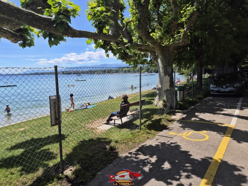 Pelouse, zone route. Plage de Promenthoux, Prangins, Léman.