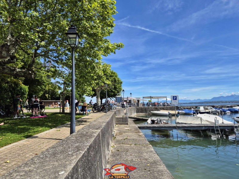 Port. Plage de Céligny, canton de Genève, Lac Léman.