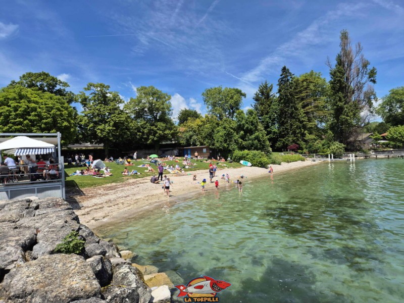 🏖️ Plage de Céligny 1 20250529 130008 plage debarcadere celigny