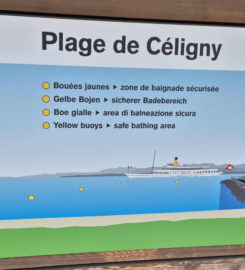 🏖️ Plage de Céligny