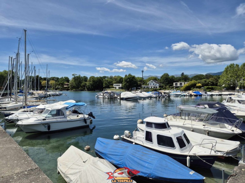 Le port Céligny depuis le bout du débarcadère. Plage de Céligny, canton de Genève, Lac Léman. Le port Céligny depuis le bout du débarcadère. Plage de Céligny, canton de Genève, Lac Léman.