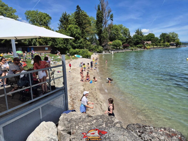 La petite plage de sable. Plage de Céligny, canton de Genève, Lac Léman.