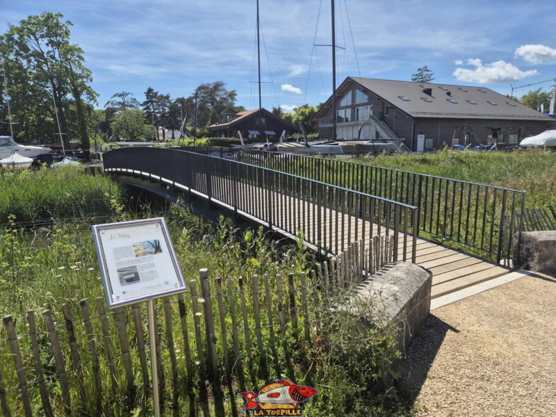 La rivière rénaturalisée du Torry. Tannay