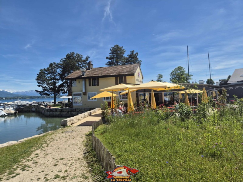 La buvette de la plage. Tannay