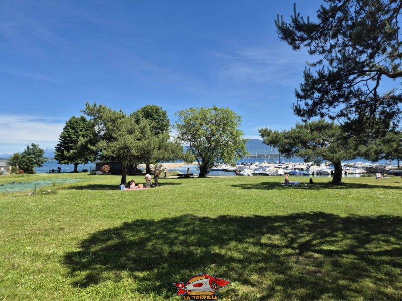 Le grand parc du port de Tannay