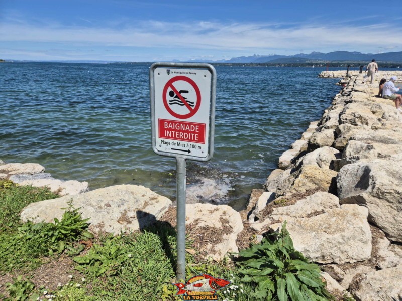 Il n'est pas possible de se baigner depuis le parc de Tannay.
