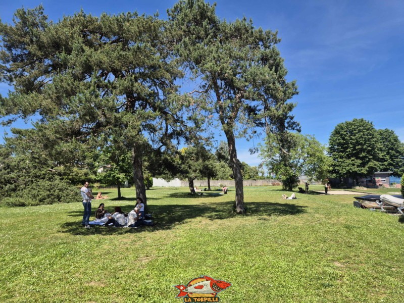 Le grand parc du port de Tannay