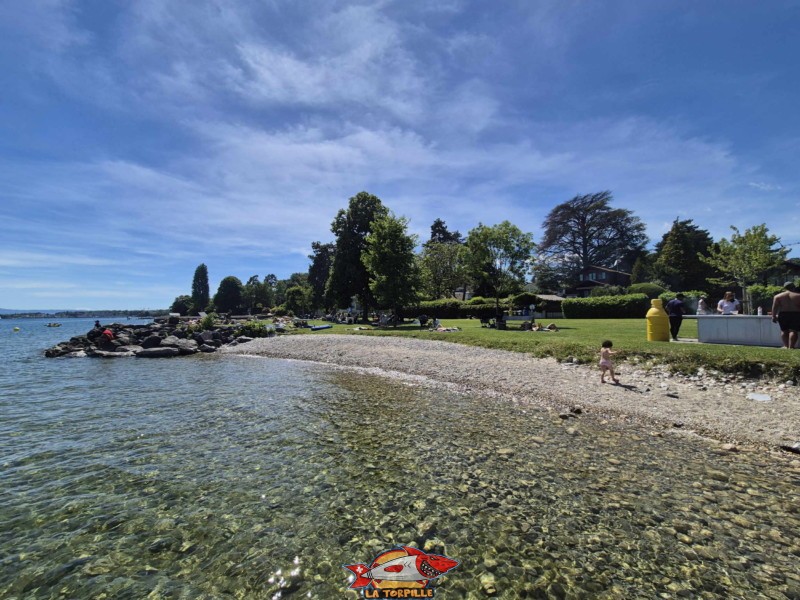 Plage nord. plage de Mies, région de Nyon, bord du Léman. 