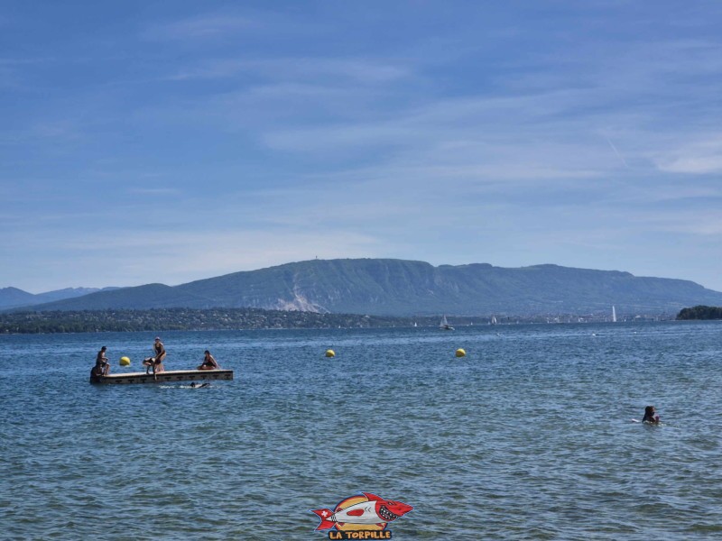 La vue sur le Salève. plage de Mies, région de Nyon, bord du Léman. 