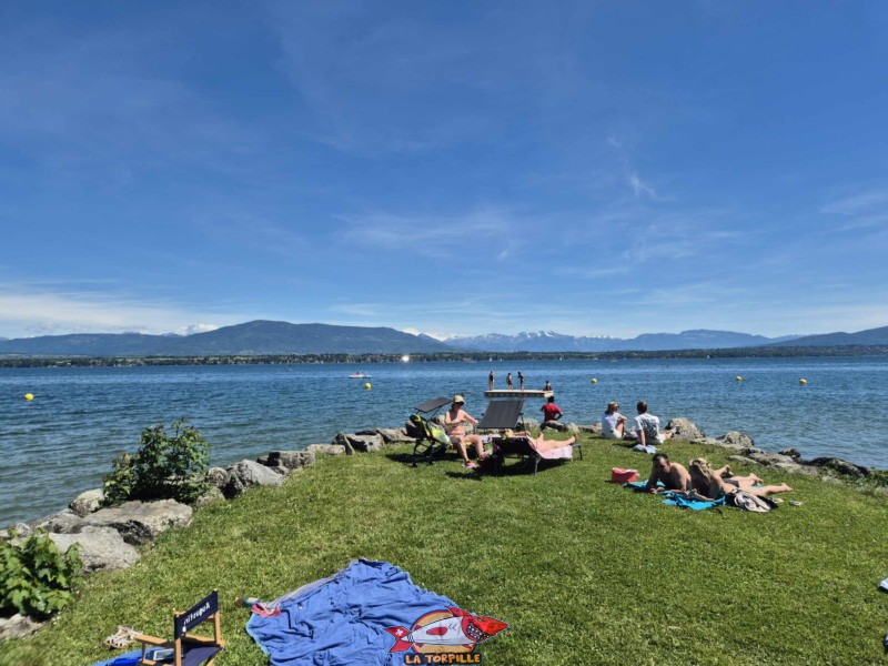 Pointe nord. plage de Mies, région de Nyon, bord du Léman. 