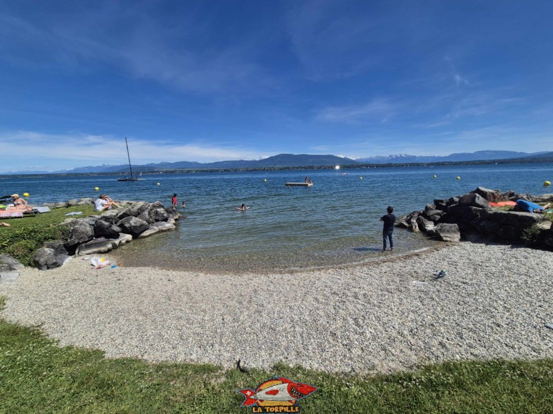 Plage milieu. plage de Mies, région de Nyon, bord du Léman. 