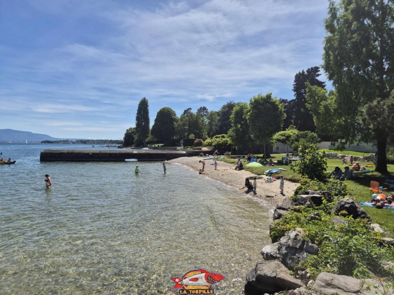Plage sud. plage de Mies, région de Nyon, bord du Léman. 